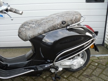 Vespa Primavera Black Snake Special