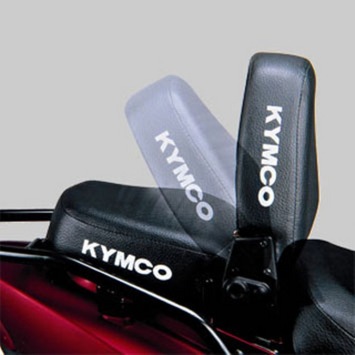 Kymco Agility 12